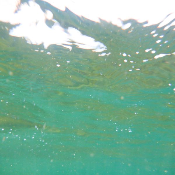 A favourite place for wild swimming - Blea Tarn Image 3