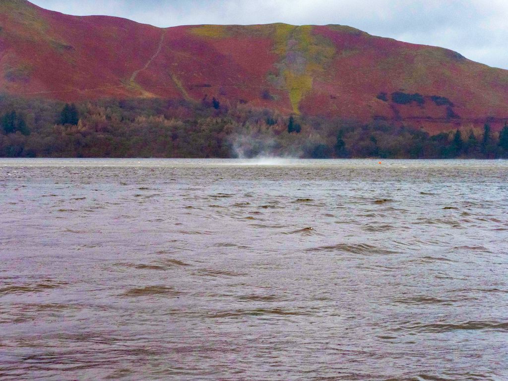 Lakeland storms