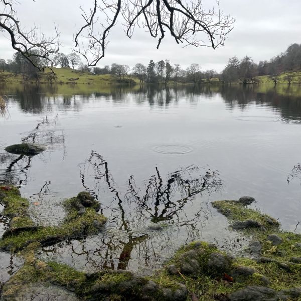 New Year's Eve 2022 - Loughrigg Tarn