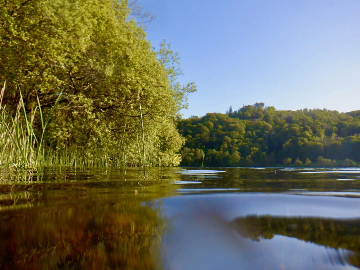 Wild swimming in Grasmere - an evening dip
