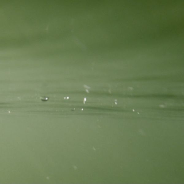 Wild swimming in Grasmere - an evening dip